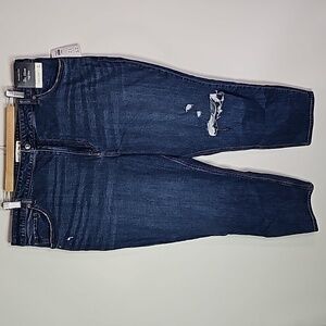 Abercrombie & Fitch 42x27 high rise curve love mom jean